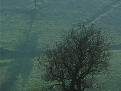 200 let českého osídlení rumunského Banátu
