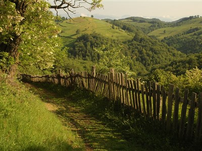 200 let českého osídlení rumunského Banátu