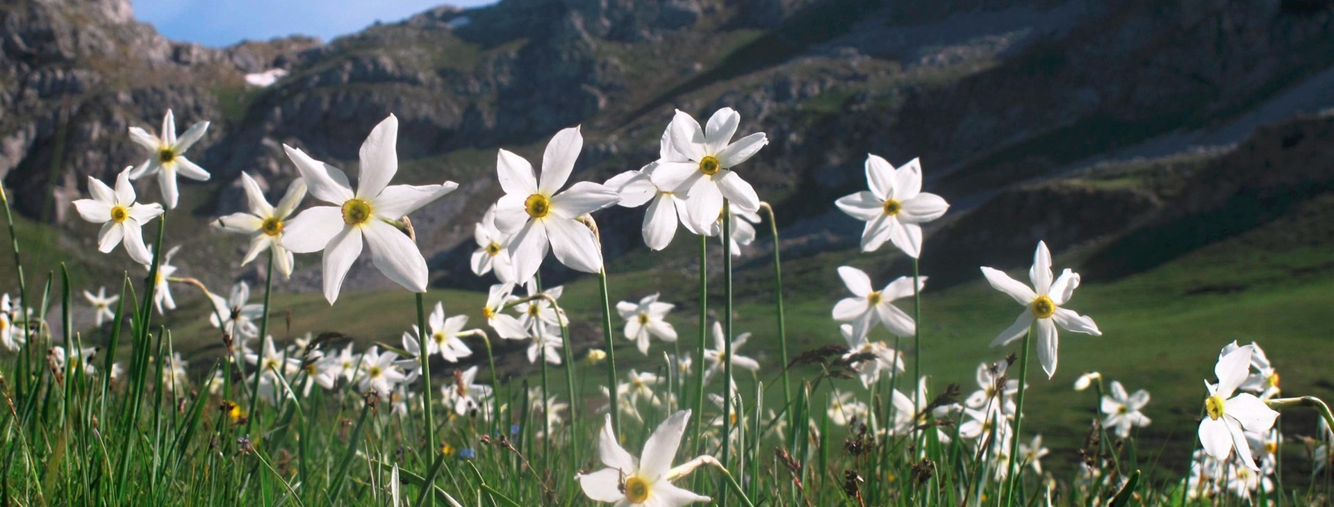 Salaše nad vesnicí Duboko, Moracke planine, Černá Hora