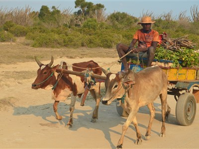 Madagaskar – laboratoř bohů