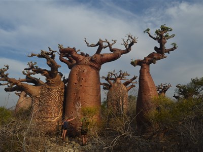 Madagaskar – laboratoř bohů