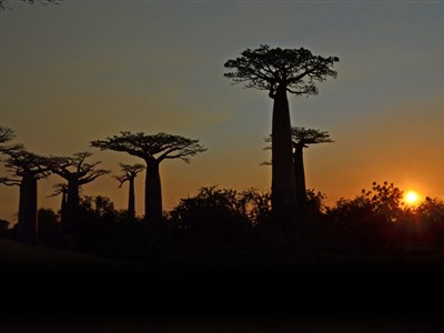 Madagaskar – laboratoř bohů