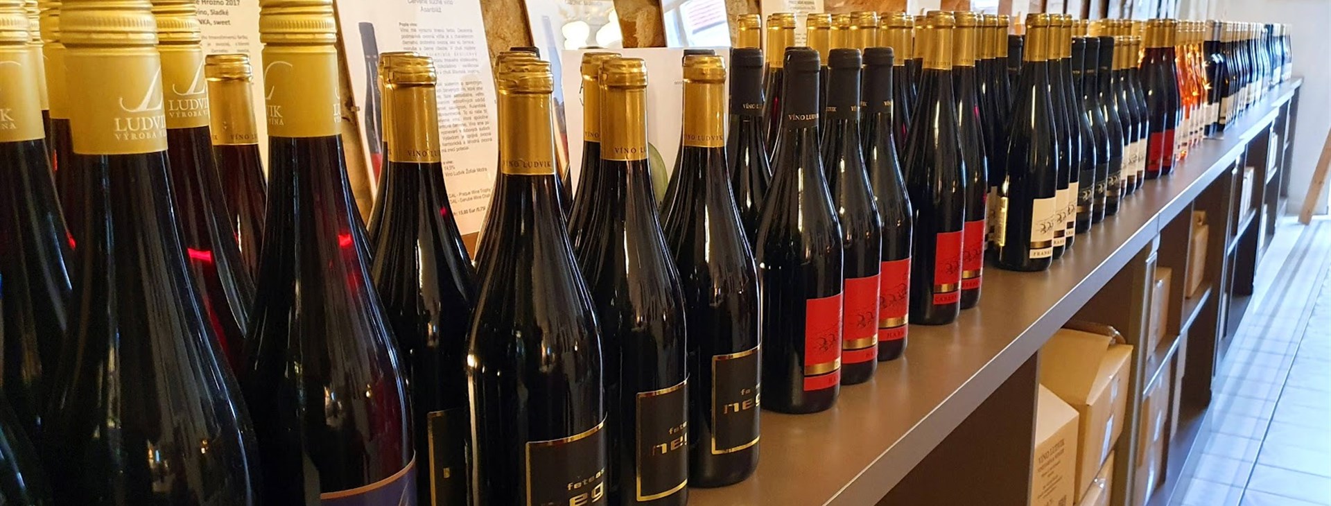 Požitkářské a termální Malé Karpaty