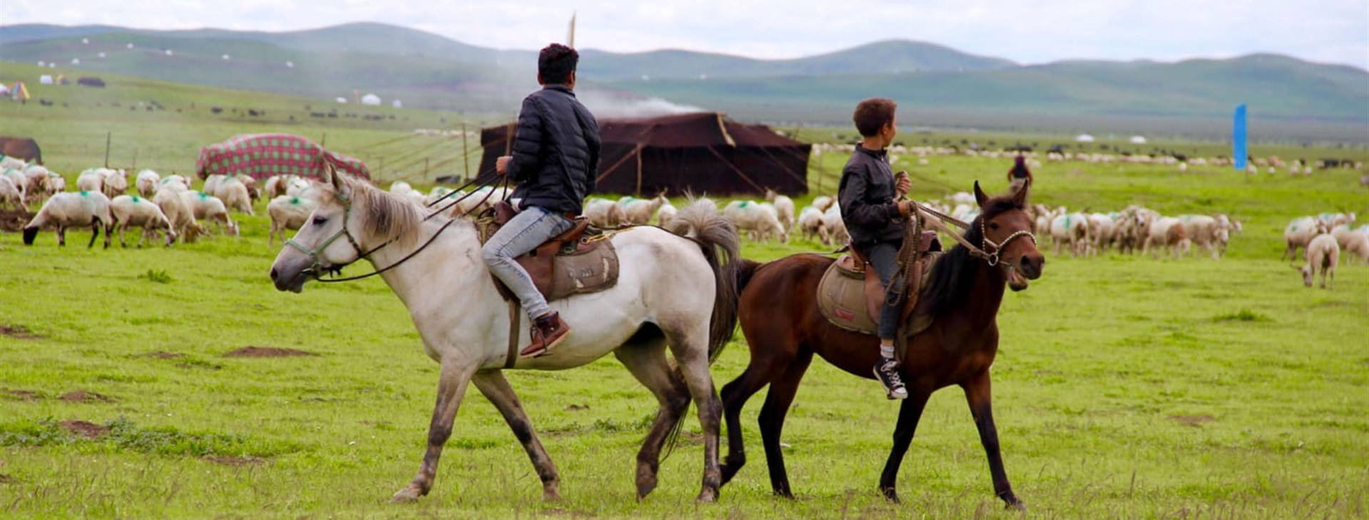 Zorgey. Foto: Veronika Bučíková.