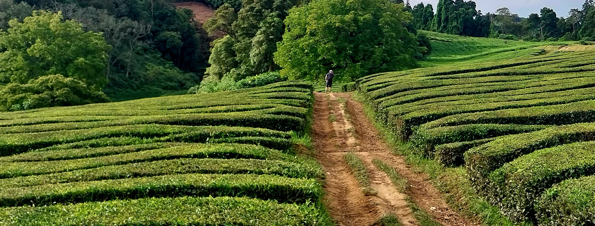 Azorské ostrovy: São Miguel, Faial, Pico