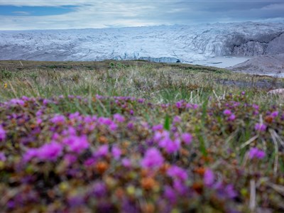 GRONSKO - Arctic Circle Trail