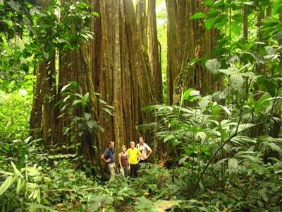 KOSTARIKA - ztracený ráj