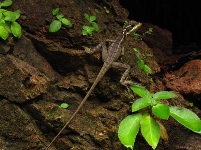 KOSTARIKA - ztracený ráj
