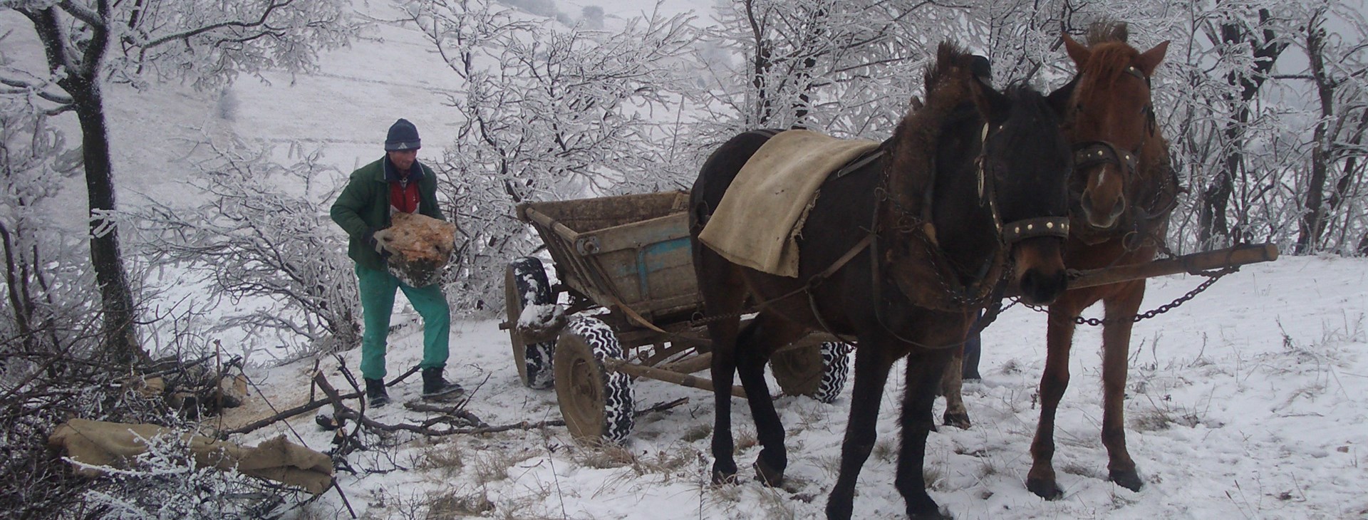 Silvestr v rumunském Banátu