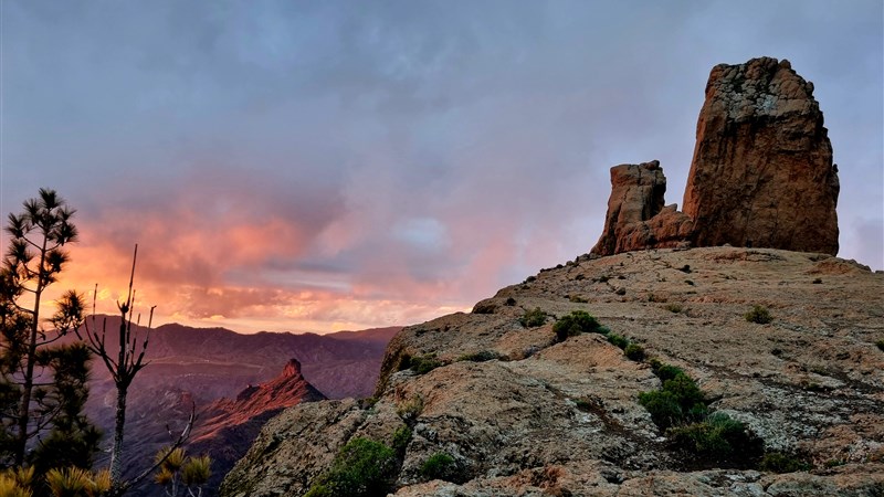 Opravdová Gran Canaria
