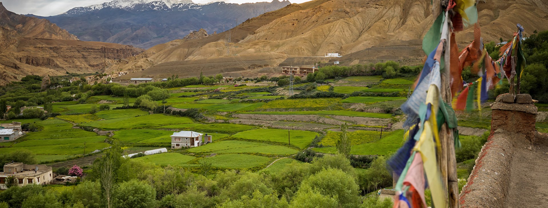 Benefiční kurz buddhismu