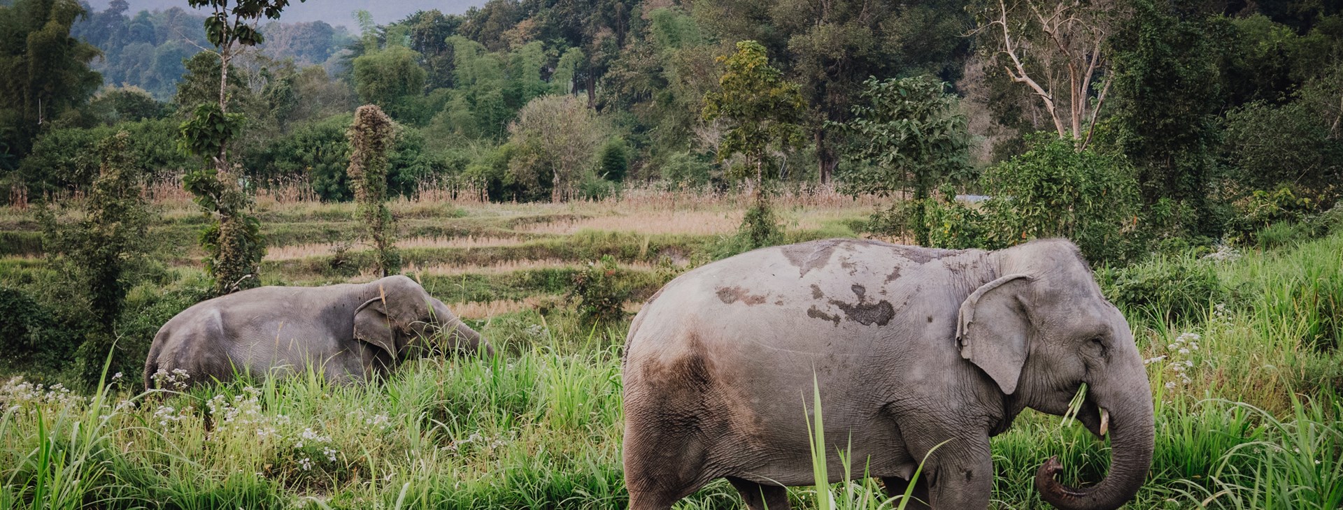Severní Thajsko autenticky