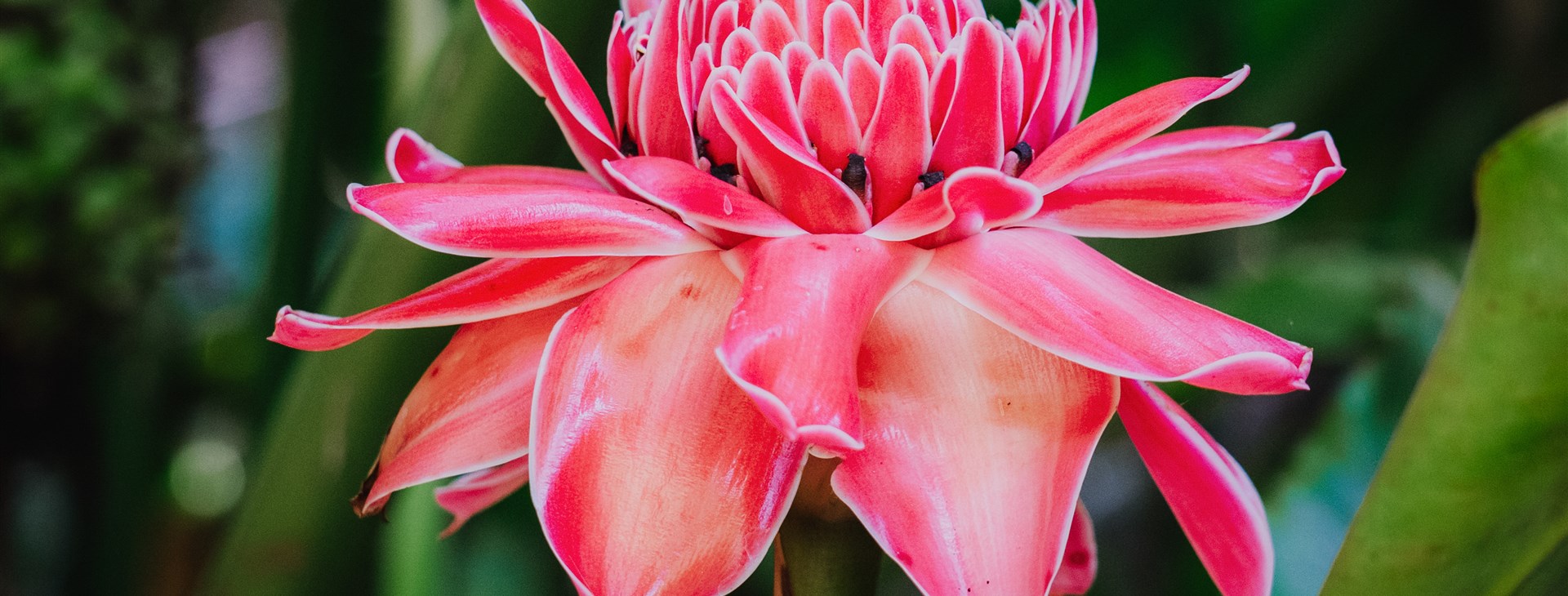 Severní Thajsko autenticky