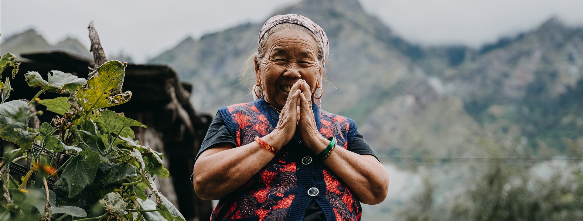 Autor: Kristýna Králová