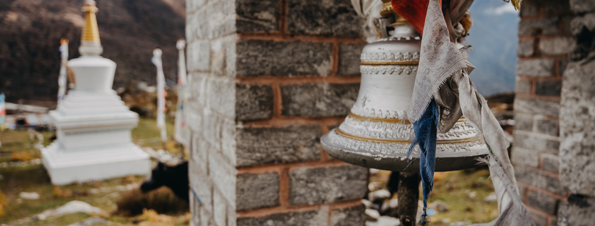 Autor: Kristýna Králová