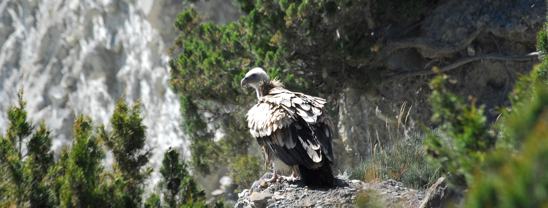 Nepál - Poon Hill a Annapurna base camp trek
