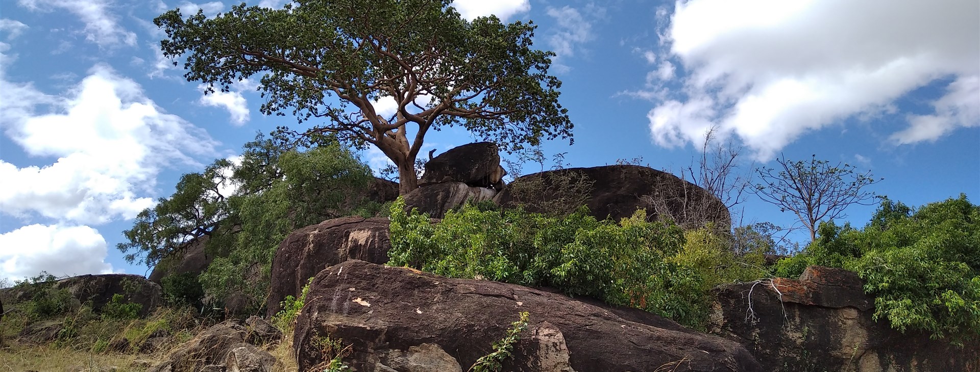 Za horami, kávou a světoznámými safari Keni a Ugandy