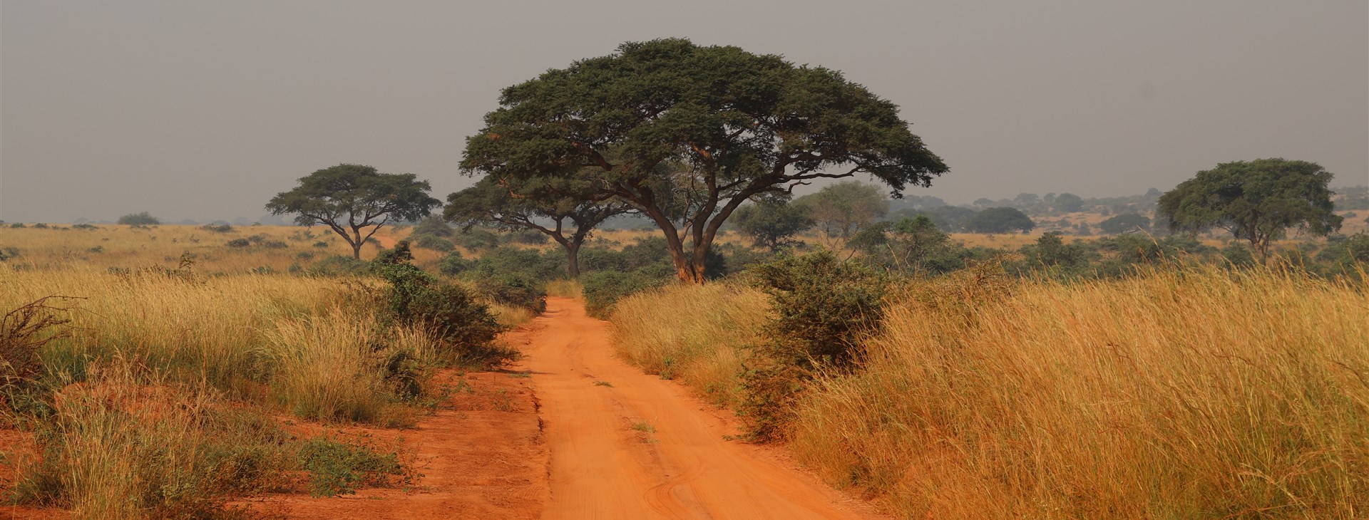 Za horami, kávou a světoznámými safari Keni a Ugandy