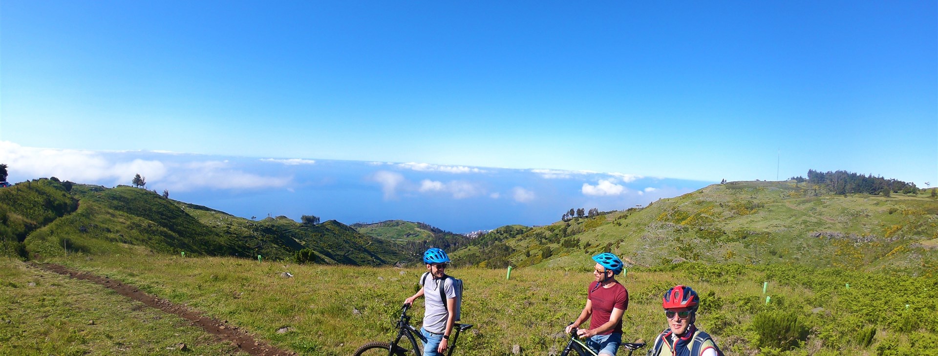 Autor: Lokoloko Madeira.