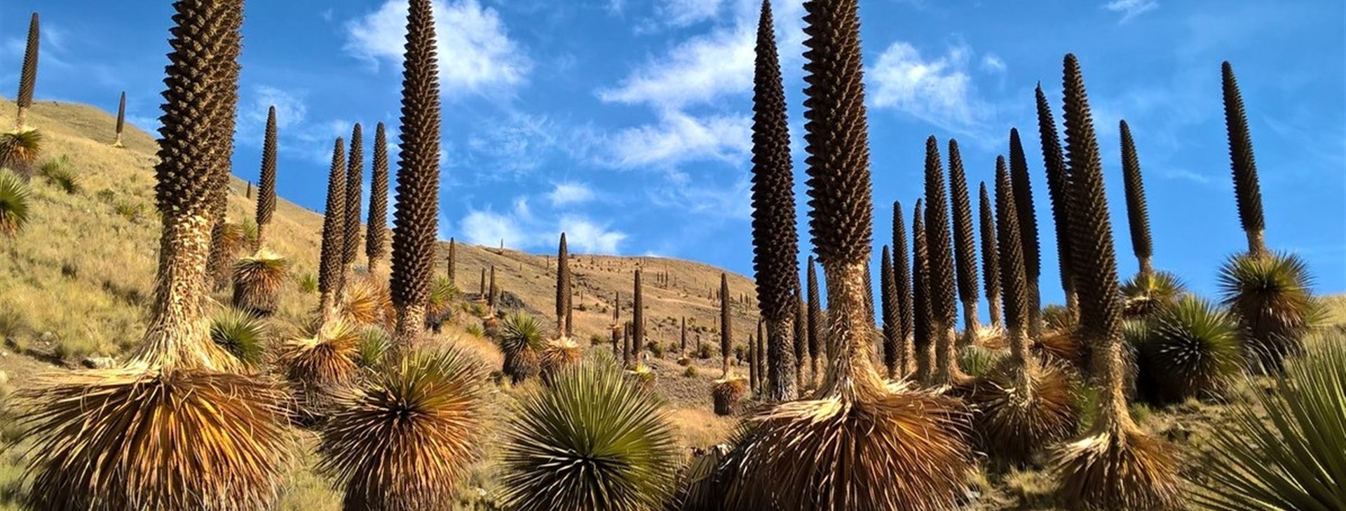 Peru a 4 denní trek v národním parku Huascarán