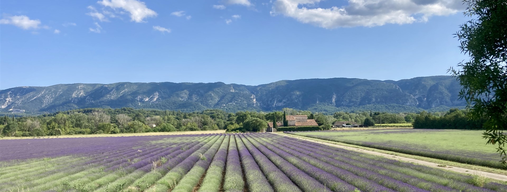 Barvy, chutě a vůně Provence - cyklisticky