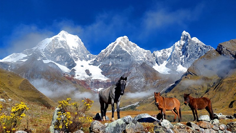 Peru - horský trek a Machu Picchu