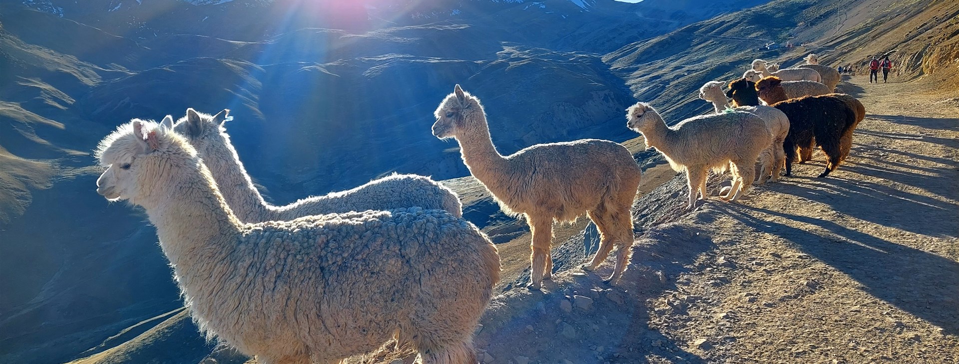 Peru s výletem do Bolívie