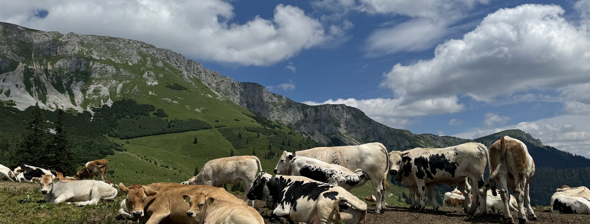 Fotka: Marek Jonáš