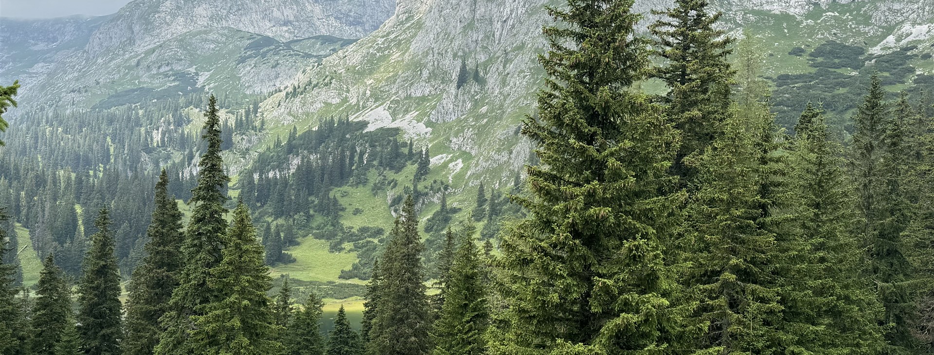 Fotka: Marek Jonáš