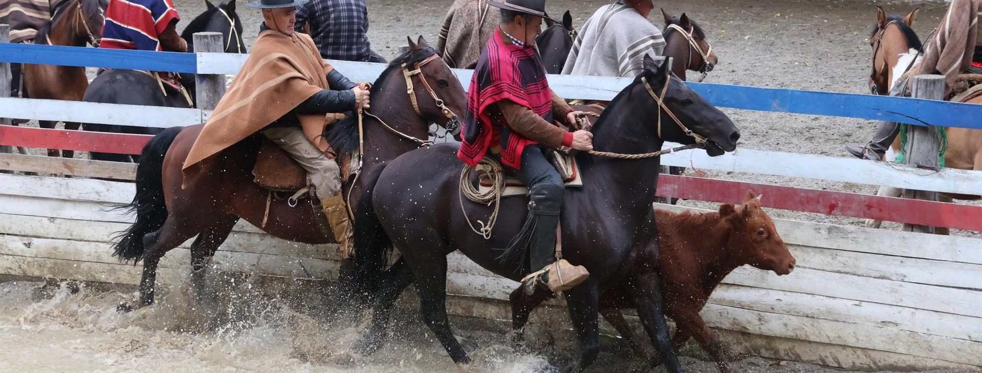 Divoká Patagonie - expedičně