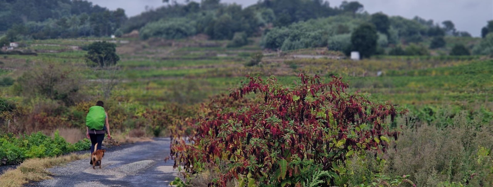 Svatojakubská cesta: Braga-Santiago de Compostela