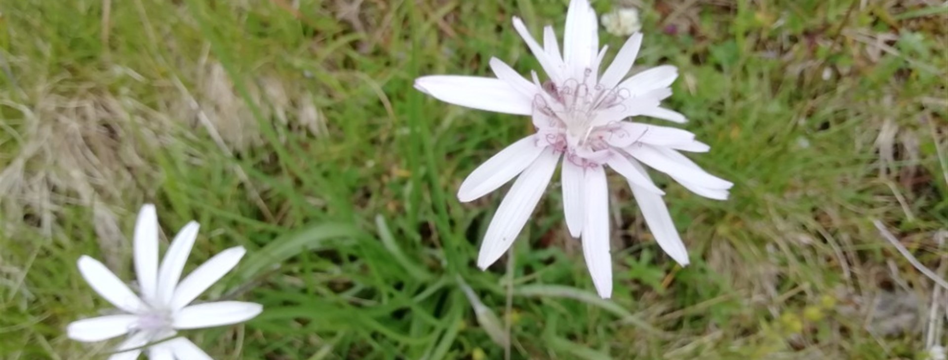 Za probouzející se přírodou Balkánu - Bulharsko - Rodopy
