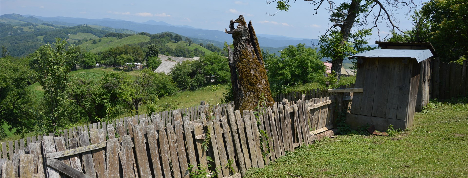 Banátské kolování