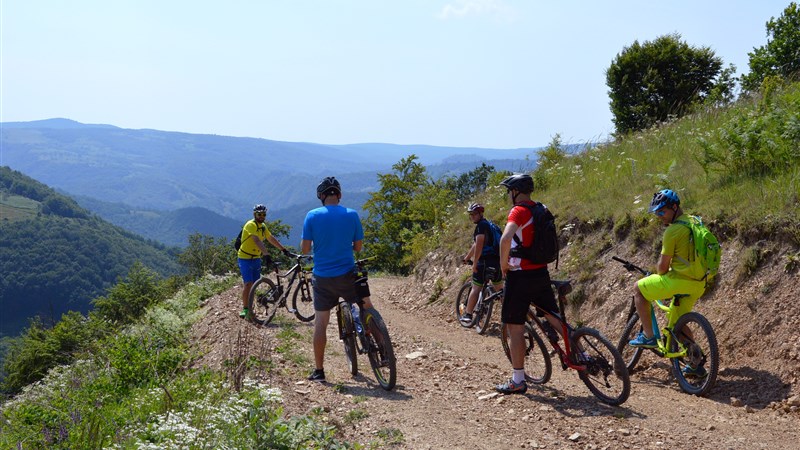 Banátské kolování