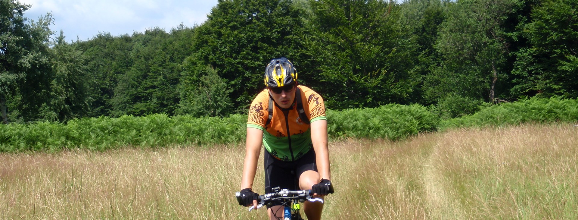 Banátské kolování