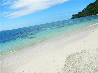 Filipíny - život v pralese