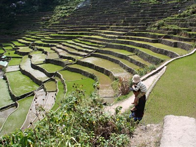Filipíny - život v pralese