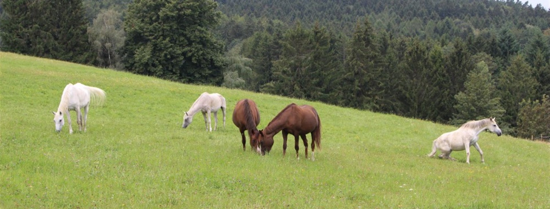 Fotka: Jarda "Ozzy" Zeman a Dan Ficek