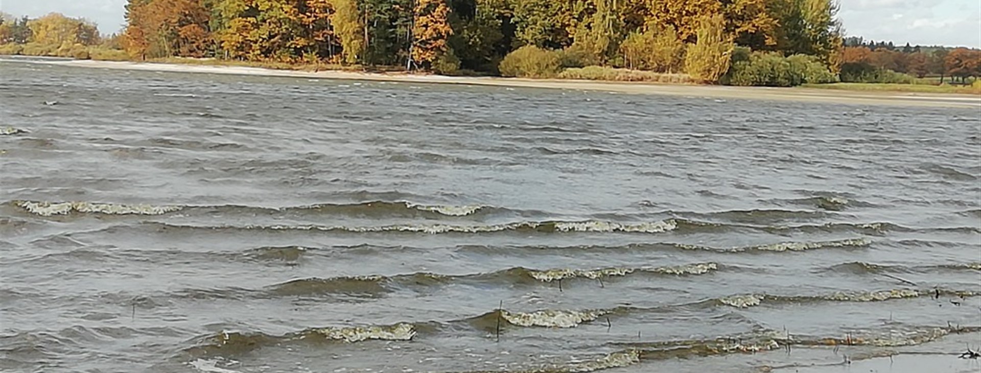 Fotka: Jarda "Ozzy" Zeman a Dan Ficek