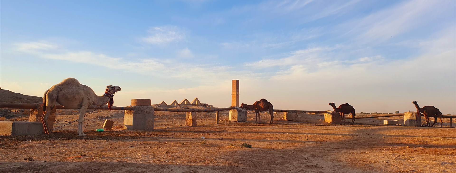 Autor: Aleš "Alda" Linhart