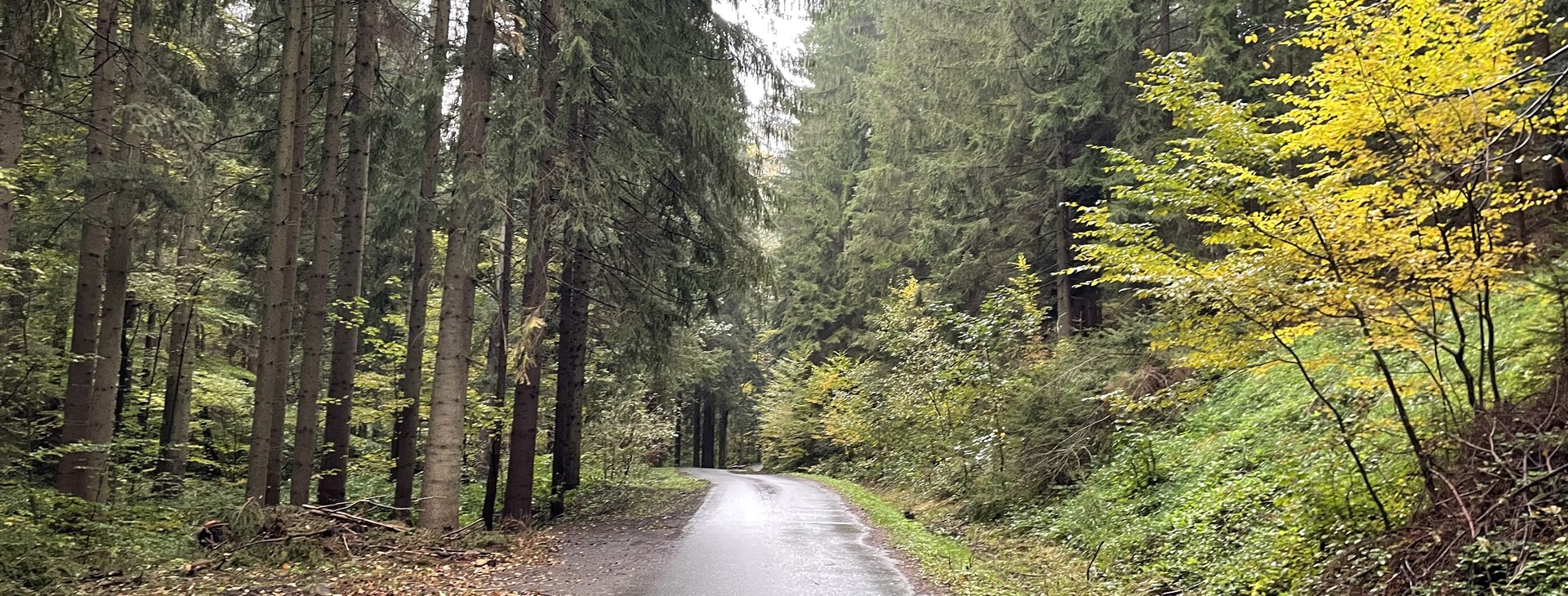 Foto: Lenka Přikrylová