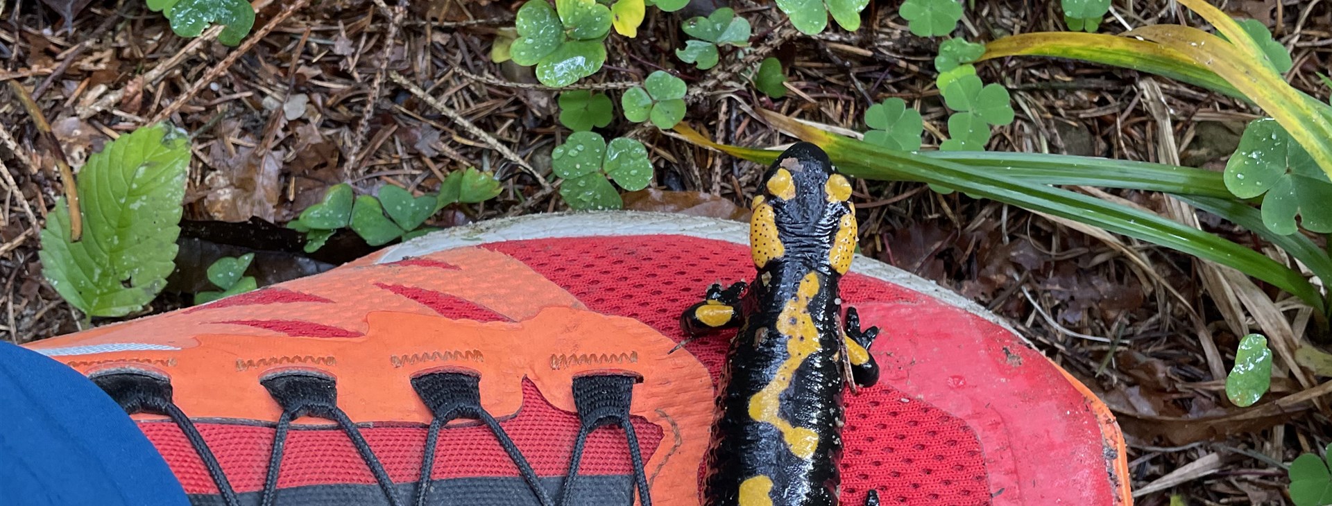 Foto: Lenka Přikrylová