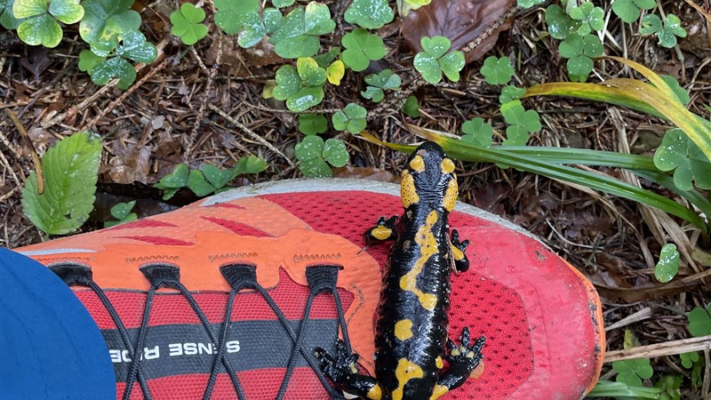 Běžmo přes Javorníky a západní Beskydy