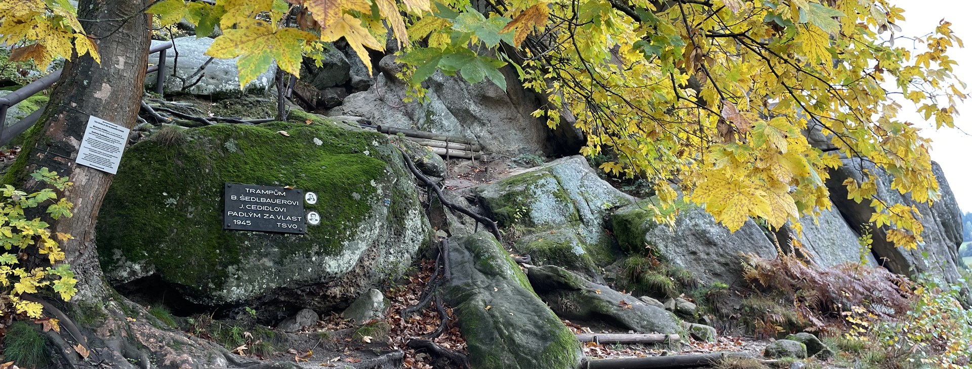 Foto: Lenka Přikrylová