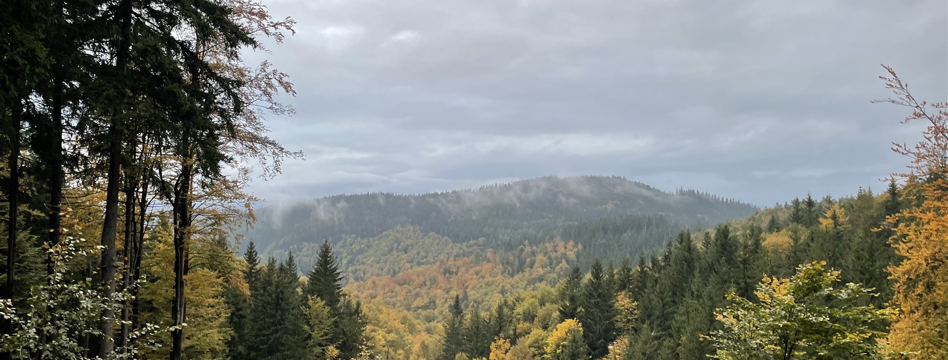 Foto: Lenka Přikrylová