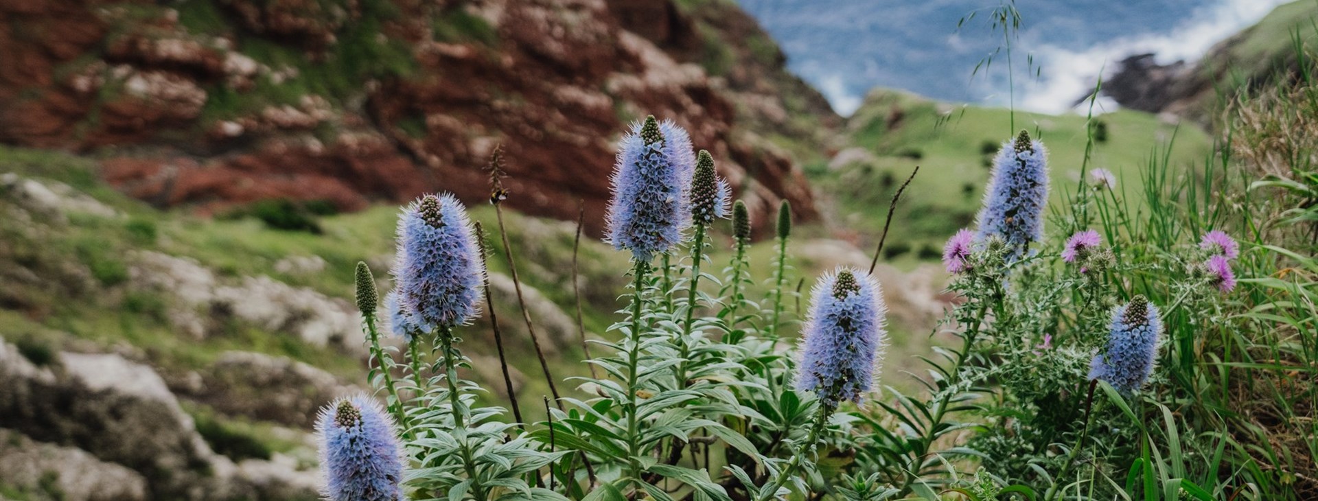 Foto: Ondrej Čechvala.
