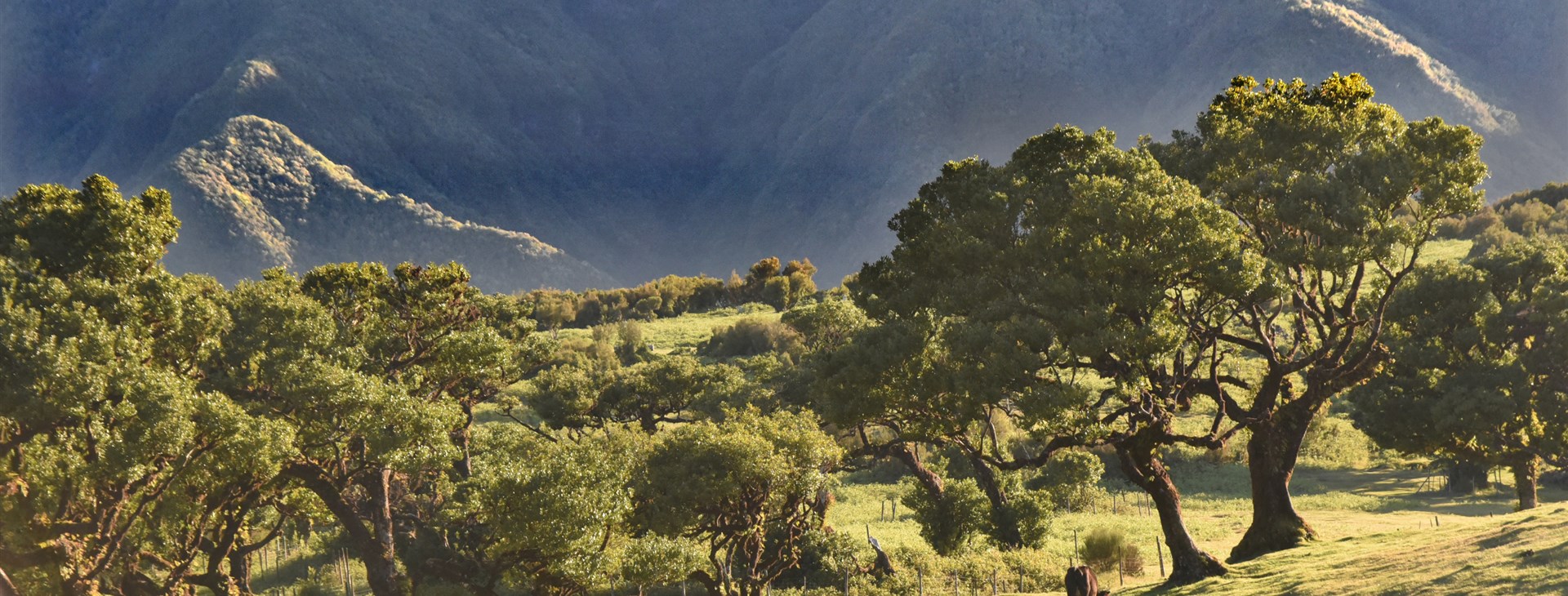 Foto: Dalibor "Robi" Mahel.