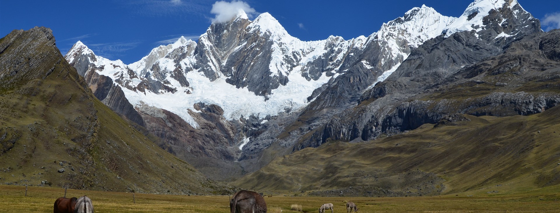 Labutí píseň Cordillery Huayhuash