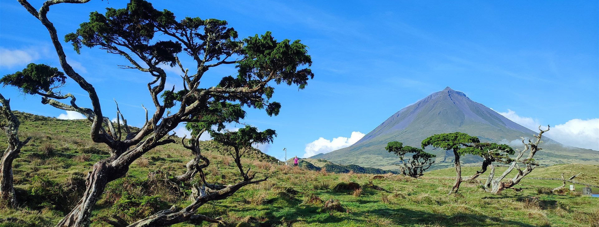 Autor: Monika Sedlická