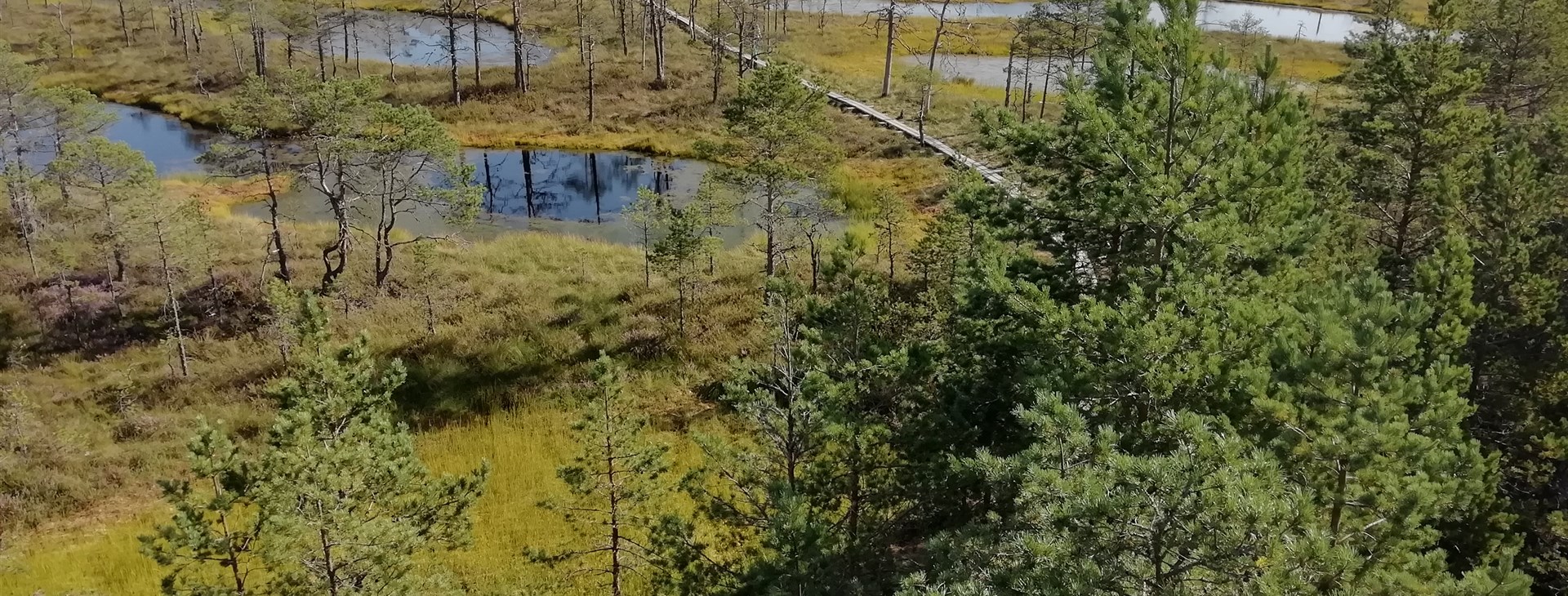 Litva, Lotyšsko a Estonsko